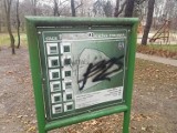 Park Tysiąclecia w Toruniu zdewastowany! Zrewitalizowano go za ponad 11,5 mln złotych