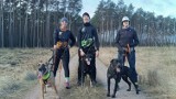 Psi Sprint, czyli grupa pasjonatów biegania z czworonogami