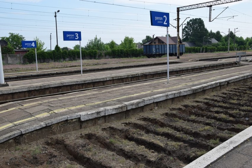 Dworzec PKP w Zduńskiej Woli zmienia wygląd. Rozpoczęły się prace na lini kolejowej [zdjęcia]