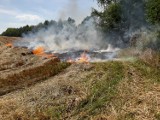 Pożar w Mechowie (sierpień 2019). Ogień wybuchł na ściernisku niedaleko lasu. - To mogło być podpalenie - mówi świadek | ZDJĘCIA