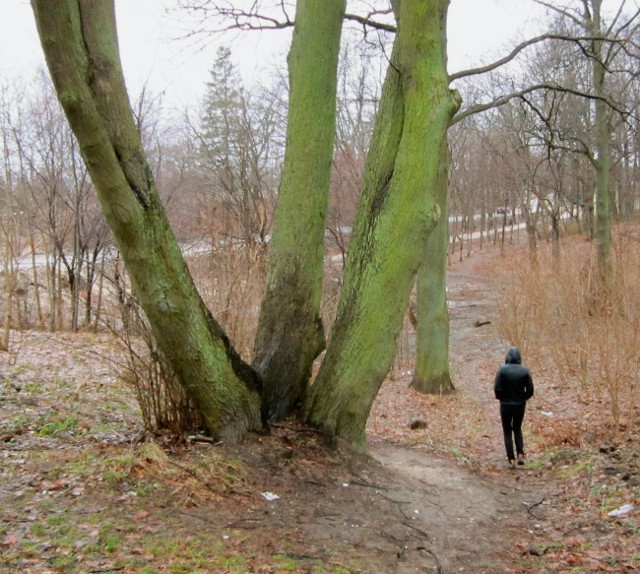 Park w Chwarznie odstrasza mieszkańców dzielnicy