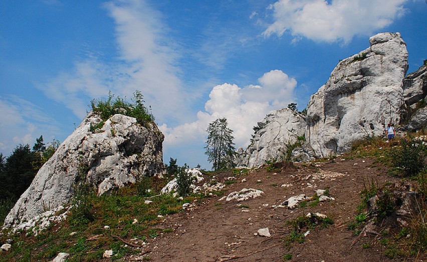 Góra Zborów

To jedno z najciekawszych miejsc na Jurze...