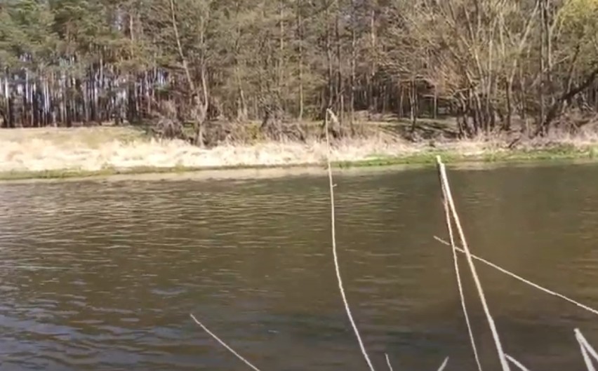 Mieszkaniec Wielunia apeluje: "Cieszmy się z tego, czym nas darzy natura" [FOTO,WIDEO]