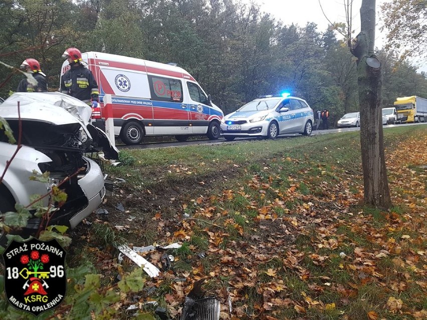 Poważny wypadek pod Opalenicą. Audi roztrzaskało się na drzewie!