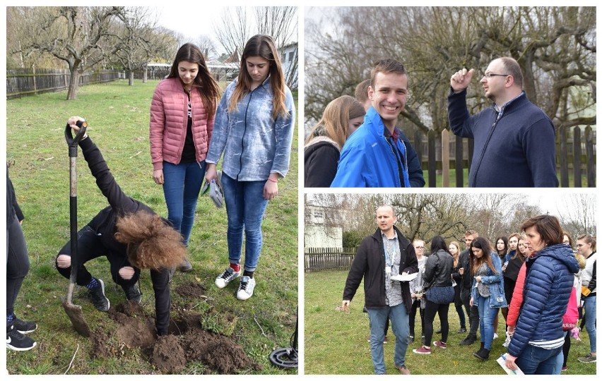 Skarb znaleziony w Trzciance! Debiut gry terenowej pt. Poszukiwanie skarbu rodziny Jacobi! 21 marca 2019