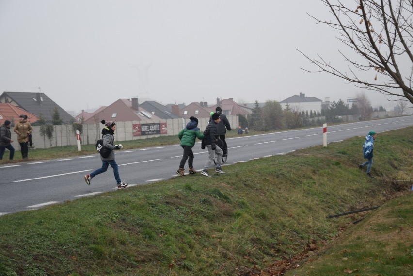 Po serii naszych zdjęć, jest decyzja o tymczasowym rozwiązaniu dla pieszych przy galerii Hosso w Świebodzinie