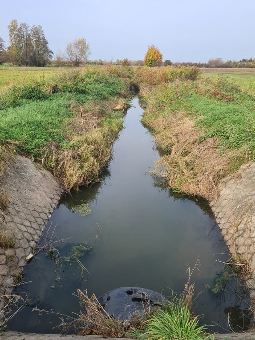 Rzeka Klikawka od lat wygrywa z rolnikami. Przyszedł czas na sukces gminy Puławy?