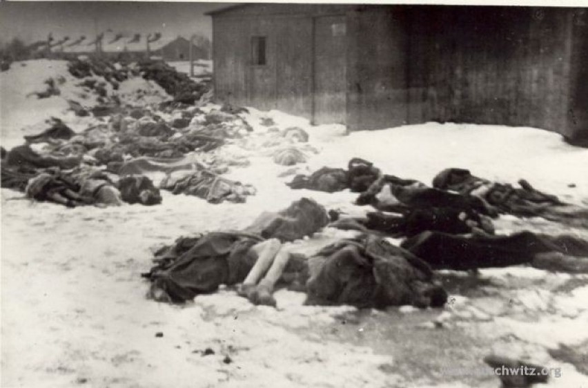 W momencie nadejścia Armii Czerwonej 27 stycznia 1945 r. na...