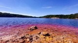 Jedne rdzawe, inne krwiste. Kolorowymi jeziorami z lubuskiego Geoparku zachwyca się cały świat. Widok może być trochę przerażający