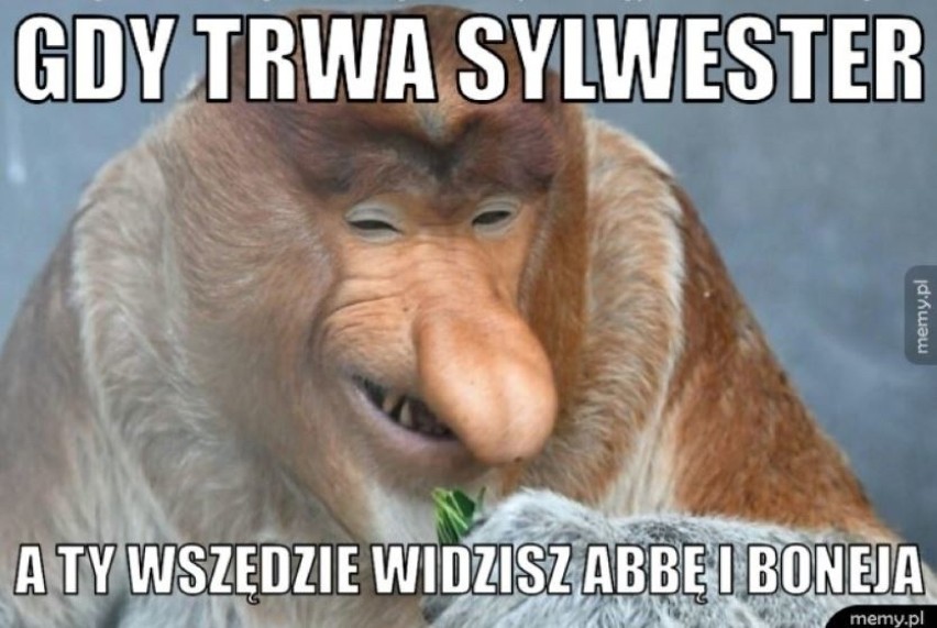 Sylwester 2019 MEMY. Tak wygląda noc sylwestrowa oczami...