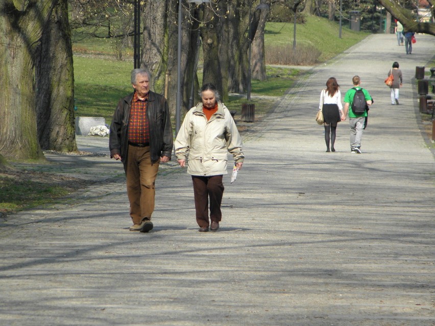 W parkach podjasnogórskich porządki i kwitną drzewa [ZDJĘCIA]