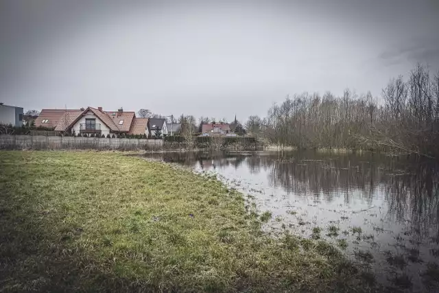 Niewielki staw "Bączek" zagraża okolicznym zabudowaniom. Trwają intensyfikowane prace polegające na odpompowaniu wody.