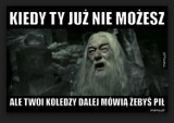 "Harry Potter i Przeklęte Dziecko". Nocna premiera w Polsce. Najlepsze memy [ZDJĘCIA]