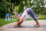 Bezpłatne zajęcia jogi na ostrowskich Piaskach już w najbliższą niedzielę