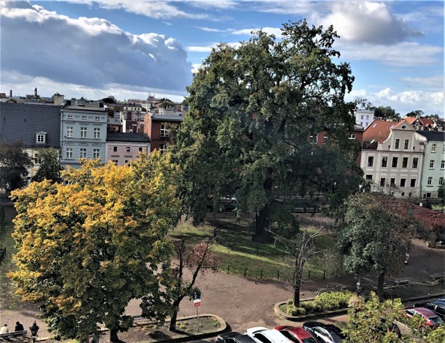 Ciągle nieodkrytą atrakcją Leszna jest taras widokowy na dachu biblioteki przy placu Metziga. Można z niego obejrzeć panoramę miasta, w której dominują wieże kościołów