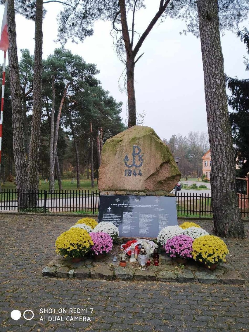 Pomniki, krzyże i urząd. Chryzantemy przyozdobiły ważne miejsca w Łomży i okolicach 