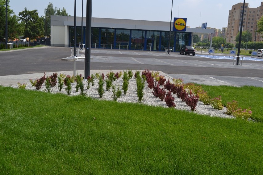 Prace nad trzecim sklepem Lidl w Dąbrowie Górniczej...