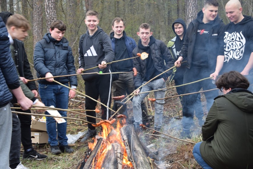 Wróciła akcja "Lasy pełne energii". Młodzież sadzi pod...