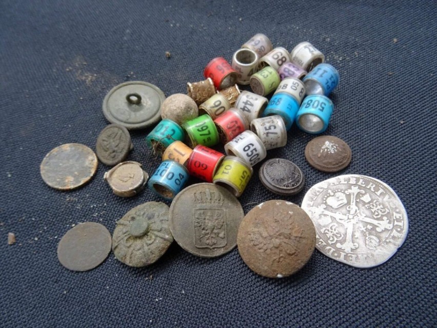 Denar Kalisz. 14-letni Kuba znalazł srebrną monetę z XVII wieku!