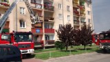 Pożar w Opolu Lubelskim: Strażacy gasili ogień w bloku przy ul. Krótkiej (ZDJĘCIA)