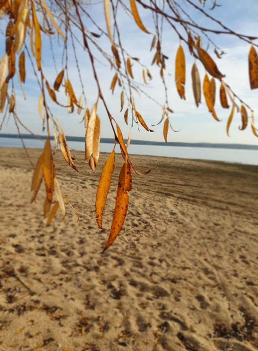 Plaża w Swolszewicach Dużych nad Zalewem Sulejowskim