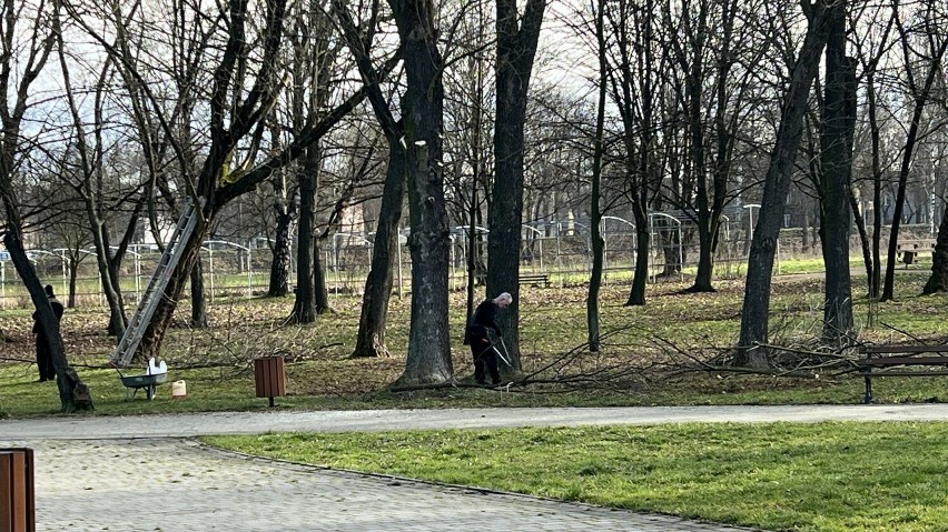 Park Grabek w Czeladzi zaprasza zimową porą na wiosenne...