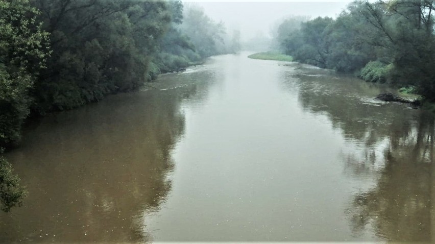 Podniesiony poziom wód w rzekach. W Jawiszowicach stan ostrzegawczy na Wiśle. W Sole i Skawie stany stabilne