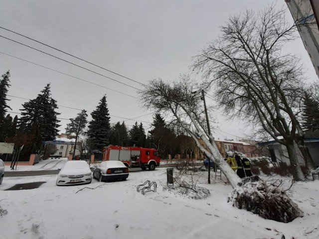 Energetycy usuwają awarie po burzy śnieżnej nad Bełchatowem i regionem