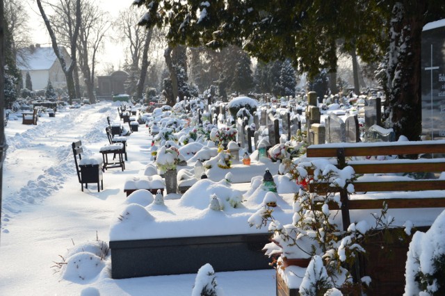Zobaczcie, jak pięknie wygląda cmentarz przy ul. Kożuchowskiej w Żaganiu, w zimowej scenerii