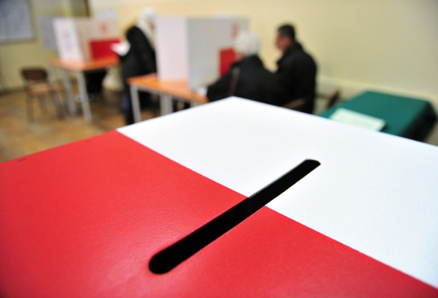 Wyniki wyborów 2019 w Elblągu - Jerzy Wilk (PiS)  zdobył 18 620 głosów i dostał się do Sejmu
