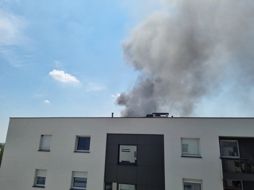 Wrocław. Groźny pożar na Jagodnie. Zobacz najnowsze zdjęcia z akcji gaśniczej! 