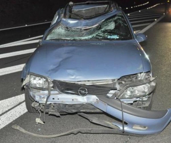 9 września 2012r. - Opel zderzył się z łosiem na obwodnicy Kraśnika. Dwie osoby zostały ranne

Na drogę przed jadącego opla wbiegł łoś. Kierujący autem zbyt późno zauważył zwierzę i nie miał szans na uniknięcie zderzenia. Po uderzeniu w pojazd łoś odbił się od samochodu, a potem wpadł do rowu. Kierujący oplem i pasażerka z poważnymi potłuczeniami trafili do szpitala. 

Zderzenie opla z łosiem - czytaj więcej