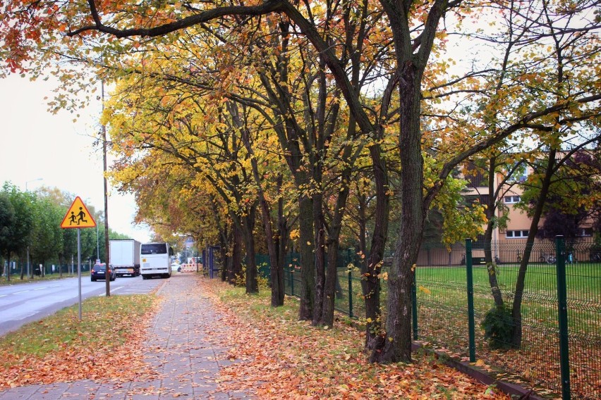 Jesienny spacer po mieście Szamotuły. Czy wiesz, gdzie zrobiono te fotografie?