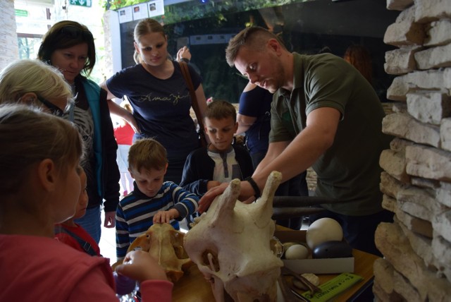 Dzień zwierząt w zoo w Chorzowie