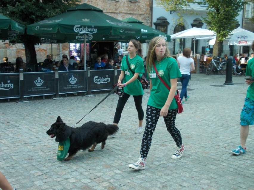 Wolontariusze i ich podopieczni maszerują przez bielski...