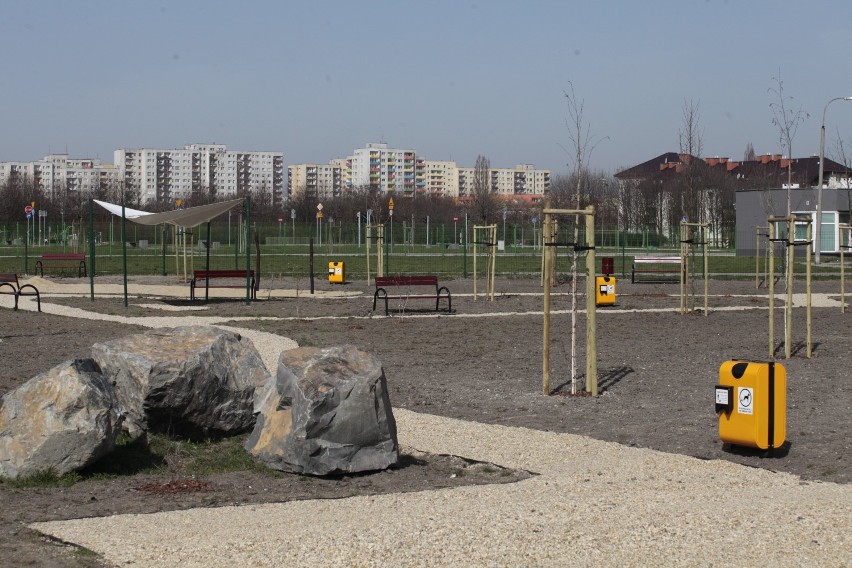 Park dla psów na osiedlu Armii Krajowej w Opolu