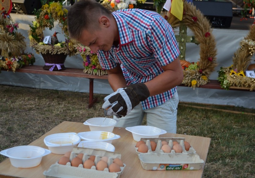 Dożynki Gminne 2015 w Wojkowicach Kościelnych [ZDJĘCIA]