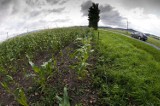 Opole Lubelskie: Rolniku, ubiegaj się o zwrot podatku akcyzowego