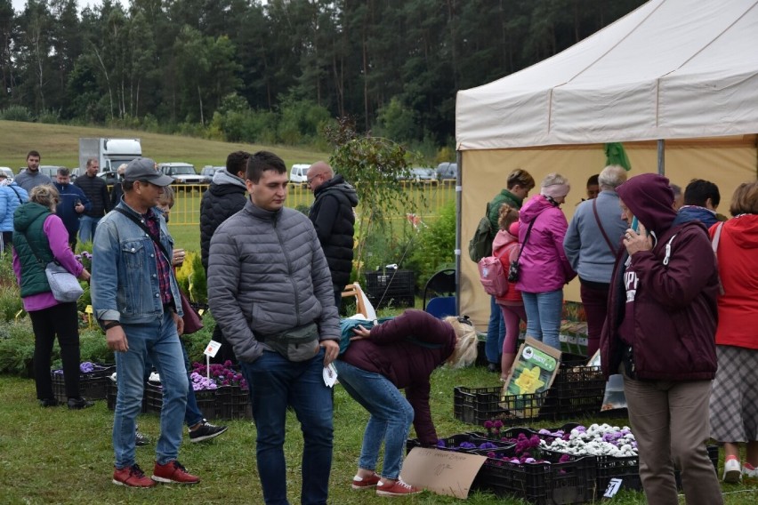 Kaszubska Jesień Rolnicza i Dożynki Diecezji Pelplińskiej już wkrótce w Lubaniu. Zaplanowano mnóstwo atrakcji [ZDJECIA]