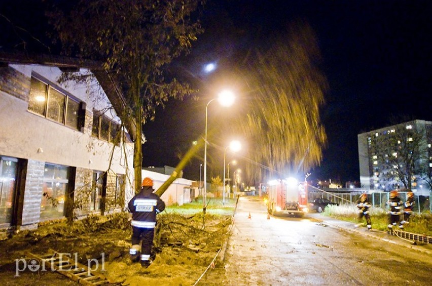 połamane drzewo w Elblągu