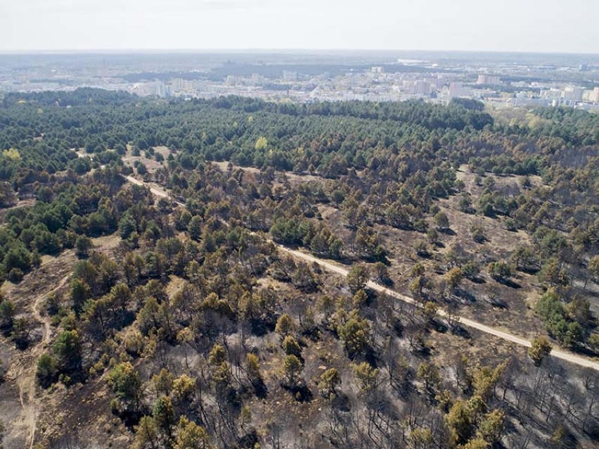 Zniszczenia po pożarze w Dolinie Śmierci. Zobacz zdjęcia z drona!