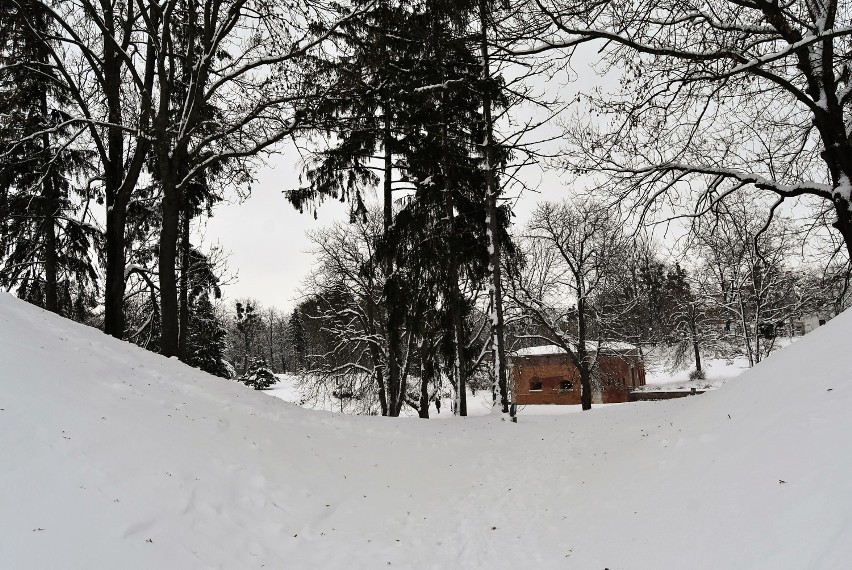 Park Miejski w zimowej szacie