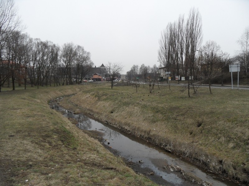 Mikołów: Kaufland przy ul. św. Wojciecha? Mieszkańcy nie chcą marketu