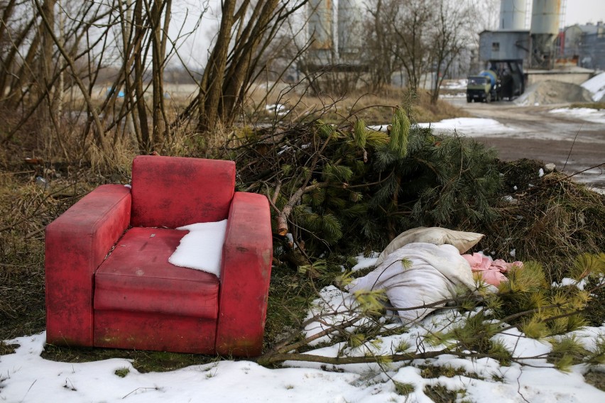 Kraków. Wąż gniewosz namiesza w planach budowy bloków na Zakrzówku?