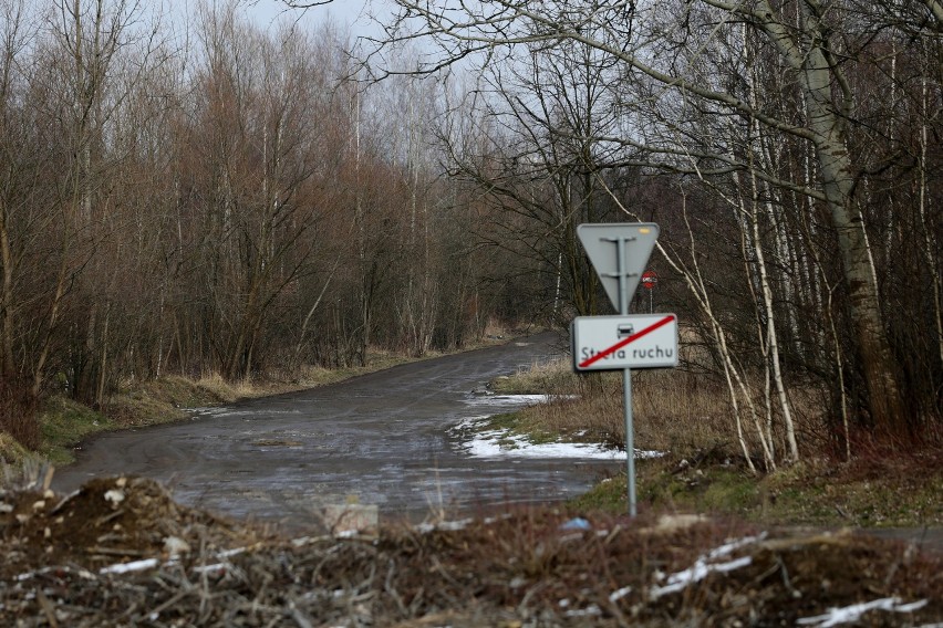 Kraków. Wąż gniewosz namiesza w planach budowy bloków na Zakrzówku?