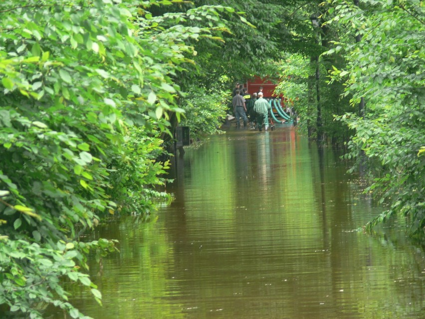 Park miejski w Łęczycy jest zalany