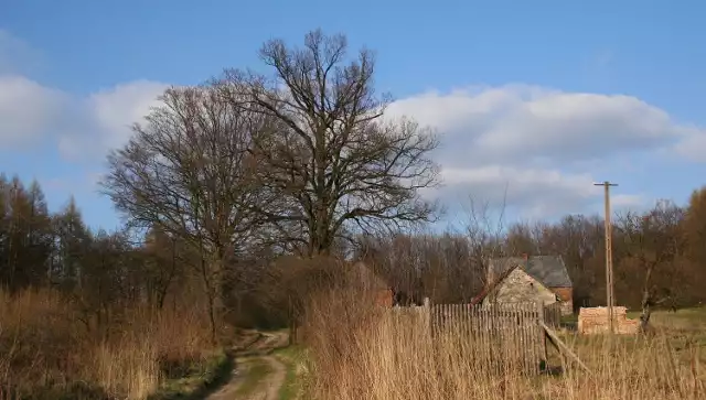 Zobacz, gdzie znajdują się opuszczone wsie i co stało się z ich ostatnimi mieszkańcami. Kliknij w galerię >>>