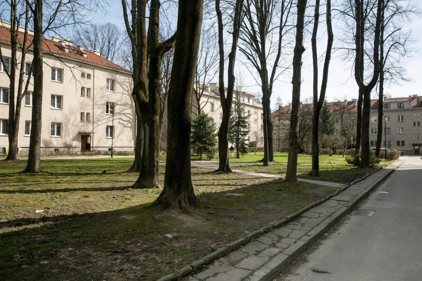 Najtańsza średnia cena za metr kwadratowy jest w Nowej Hucie...