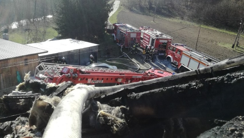 Osiem zastępów straży pożarnej walczyło z ogniem na poddaszu jednego z domów w Ropicy Górnej