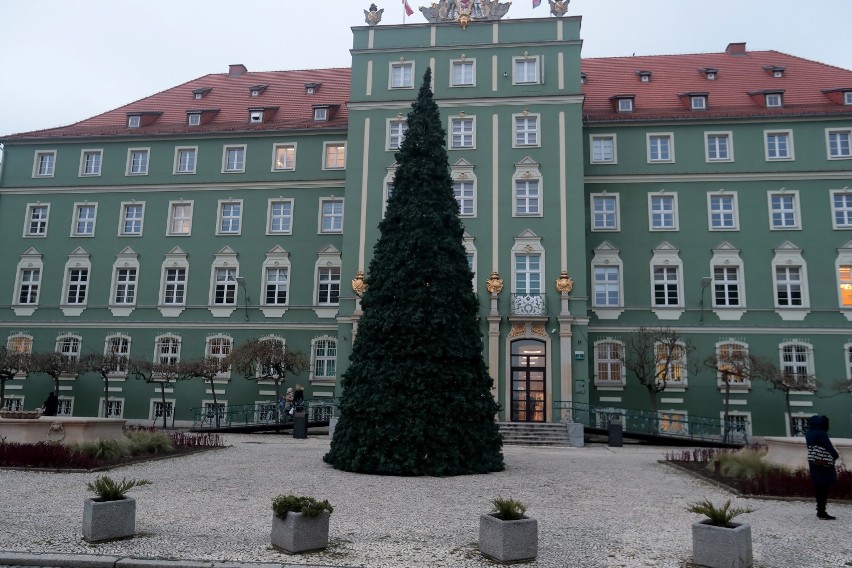 Święta w Szczecinie. Choinka znowu pojawiła się przed urzędem miasta 